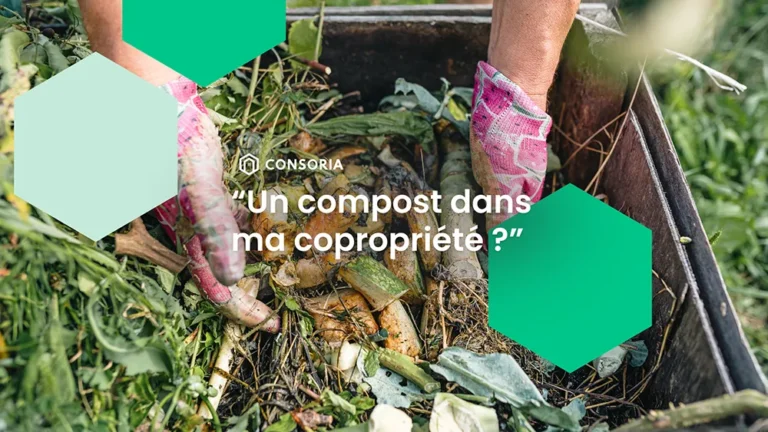 Photo des mains d'un copropriétaire remuant le compost dans le bac de compostage présent dans sa copropriété